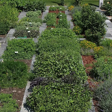 Castello Del Sole Resort&spa Ascona