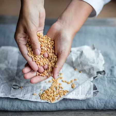 Castello Del Sole Resort&spa 5* Ascona