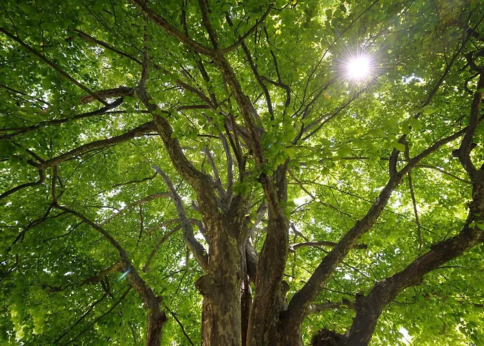 Hotell Castello Del Sole Resort&spa 5*