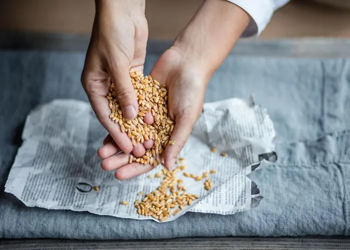 Castello Del Sole Resort&spa 5* Ascona